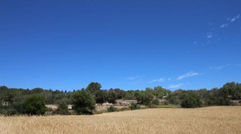 Balearic Islands - Porreras - 31000m2