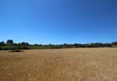Land suitable for development for sale on España, Porreras, ref: TR115400 photo