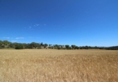 Land suitable for development for sale on España, Porreras, ref: TR115400 photo
