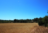 Land suitable for development for sale on España, Porreras, ref: TR115400 photo