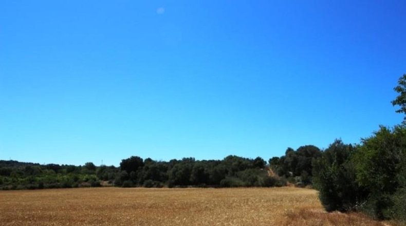 Balearic Islands - Porreras - 31000m2
