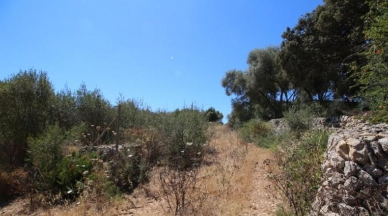 Balearic Islands - Porreras - 31000m2