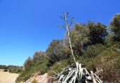 Land suitable for development for sale on España, Porreras, ref: TR115400 photo