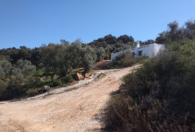 Pruna 113238&nbsp;m² 