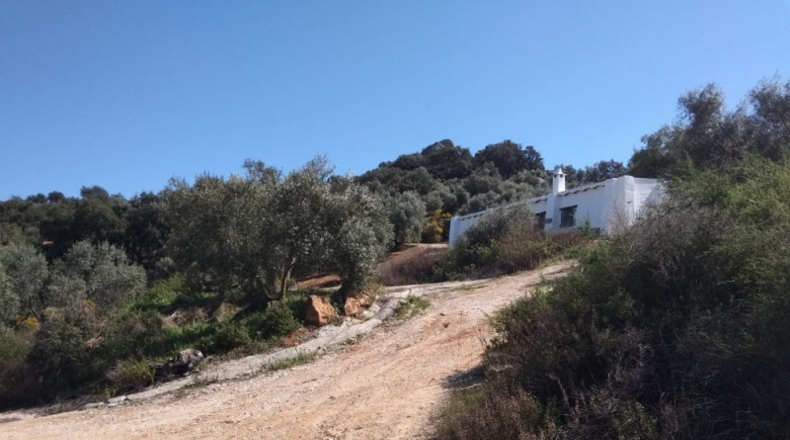 Seville - Pruna - 113238m2