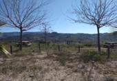 Terreny no urbanitzable en venda a la España, Pruna, ref.: TR114250 foto
