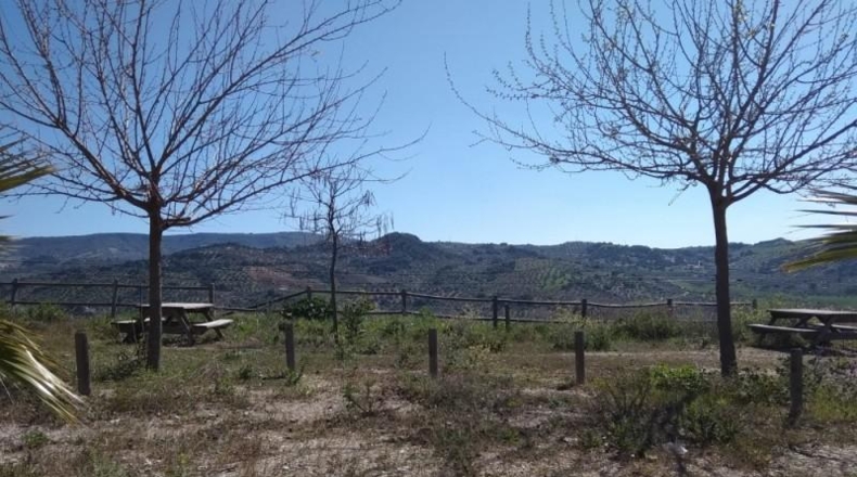 Seville - Pruna - 113238m2