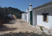 Terreny no urbanitzable en venda a la España, Pruna, ref.: TR114250 foto
