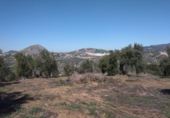 Terreny no urbanitzable en venda a la España, Pruna, ref.: TR114250 foto