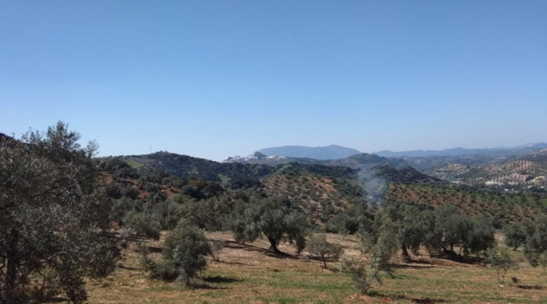 Seville - Pruna - 113238m2