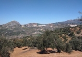 Terreny no urbanitzable en venda a la España, Pruna, ref.: TR114250 foto