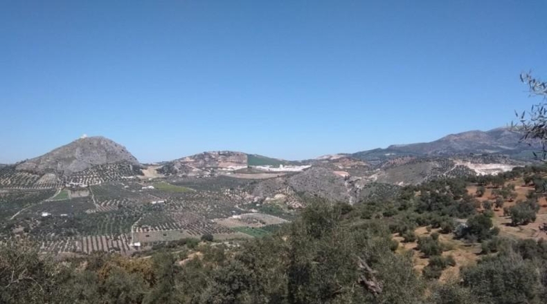 Seville - Pruna - 113238m2