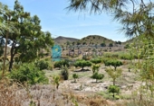 Casa de campo con terreno en venta en la España, Mazarrón, ref: TR145263 foto