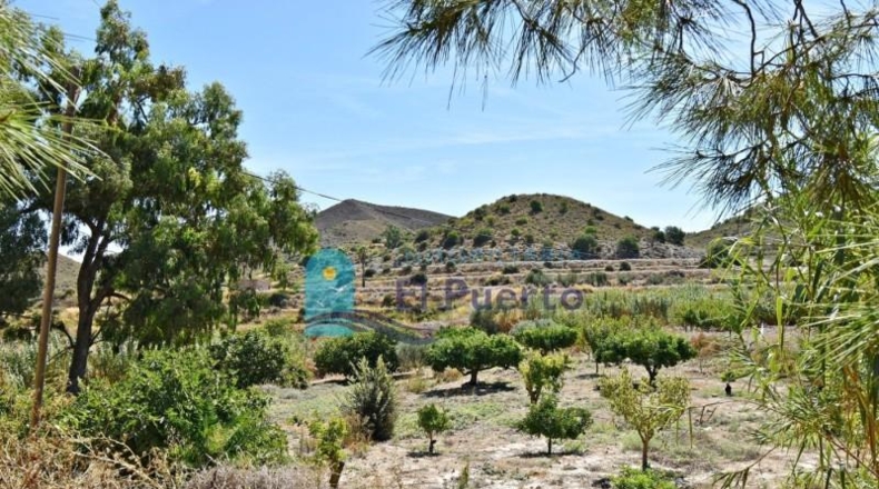 Murcia - Mazarrón - 11000m2