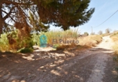 Casa de campo con terreno en venta en la España, Mazarrón, ref: TR145263 foto
