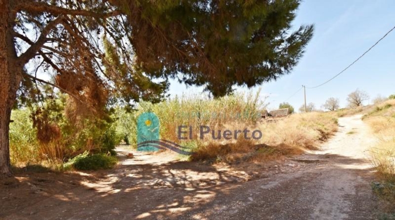 Murcia - Mazarrón - 11000m2