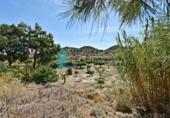 Casa de campo con terreno en venta en la España, Mazarrón, ref: TR145263 foto