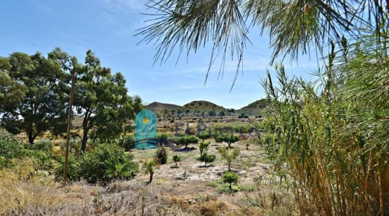 Murcia - Mazarrón - 11000m2