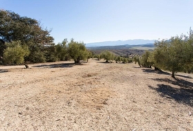 Campotéjar 133800&nbsp;m²
