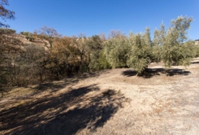 Campotéjar 133800&nbsp;m²
