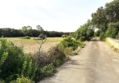 Non-developable land for sale on España, Sineu, ref: TR328070 photo