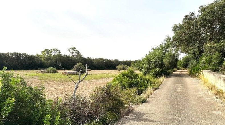 Balearic Islands - Sineu - 21300m2