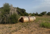 Non-developable land for sale on España, Sineu, ref: TR328070 photo
