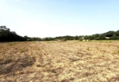 Non-developable land for sale on España, Sineu, ref: TR328070 photo