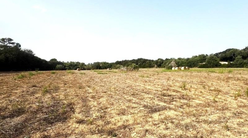Balearic Islands - Sineu - 21300m2
