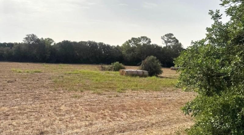 Balearic Islands - Sineu - 21300m2