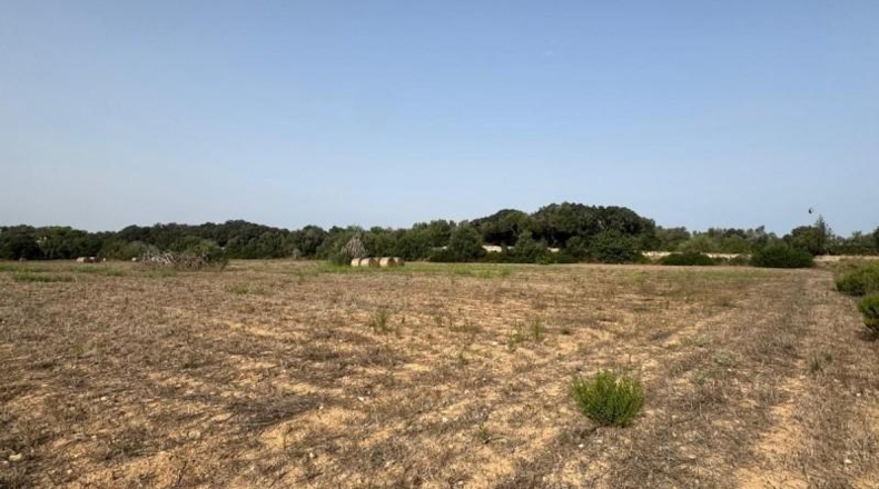 Balearic Islands - Sineu - 21300m2
