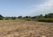 Non-developable land for sale on España, Sineu, ref: TR328070 photo