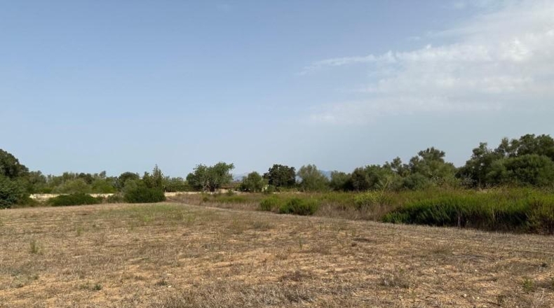 Balearic Islands - Sineu - 21300m2