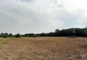 Non-developable land for sale on España, Sineu, ref: TR328070 photo
