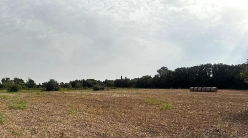Balearic Islands - Sineu - 21300m2
