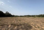 Non-developable land for sale on España, Sineu, ref: TR328070 photo