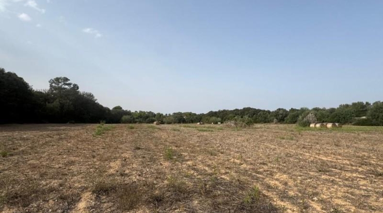 Balearic Islands - Sineu - 21300m2