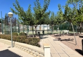 Chalet independiente con terreno en venta en la España, Monóvar, ref: TR166805 foto