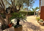 Chalet independiente con terreno en venta en la España, Monóvar, ref: TR166805 foto
