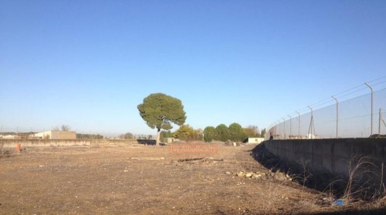 Albacete - Albacete - 10000m2