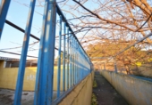 Chalet independiente con terreno en venta en la España, Poblet, ref: TR164650 foto