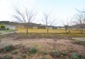 Chalet independiente con terreno en venta en la España, Poblet, ref: TR164650 foto