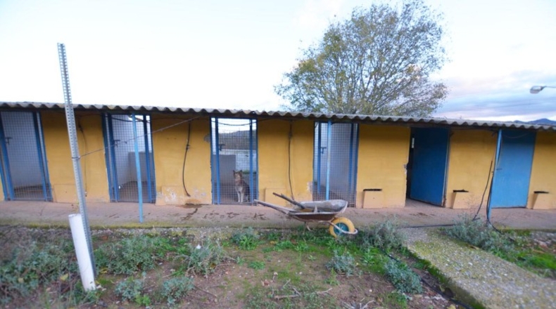 Tarragona - Vimbodí - 10000m2