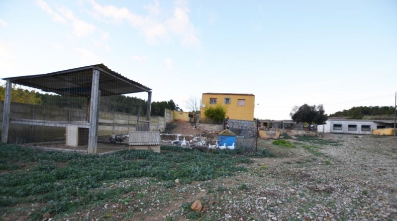 Tarragona - Vimbodí - 10000m2