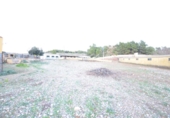 Chalet independiente con terreno en venta en la España, Poblet, ref: TR164650 foto