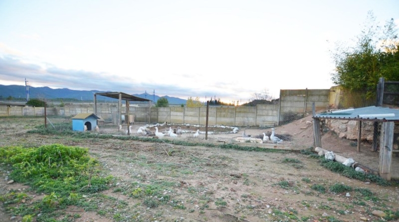 Tarragona - Vimbodí - 10000m2