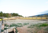 Chalet independiente con terreno en venta en la España, Poblet, ref: TR164650 foto