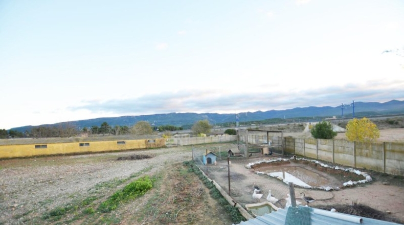 Tarragona - Vimbodí - 10000m2