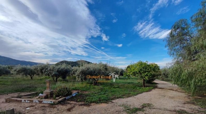 Alicante - Asp - 12500m2