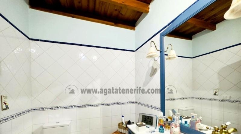 Santa Cruz de Tenerife - Icod de los Vinos - 750m2